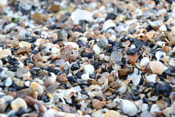 macro photo of sand on a sea beach