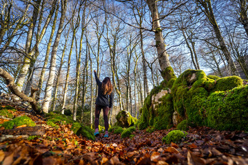 Irati Forest