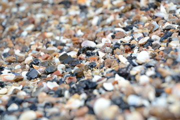 macro photo of sand on a sea beach