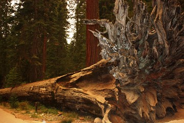 Travelling the world