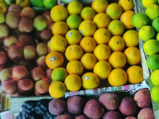 fruits and vegetables