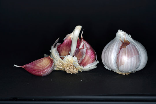 garlic on a black background