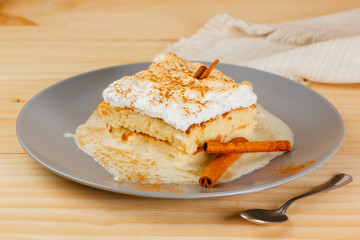 Delicious and juicy Three milk cake with a little cinnamon, typical Latin American dessert