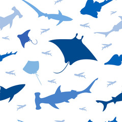 Fish shark seamless pattern. Vector color image background.
