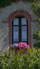 Fototapeta na wymiar window with flowers,old,medieval,home, house, wall,exterior, facade, detail,glass, brick,europe,