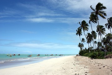 Travelling the world