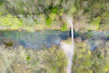 top view to river crosses trail path in swamp landscape at austria