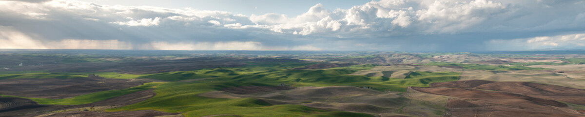 Palouse Panorama