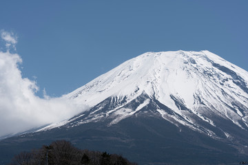 Fototapeta na wymiar 本栖から見た富士山