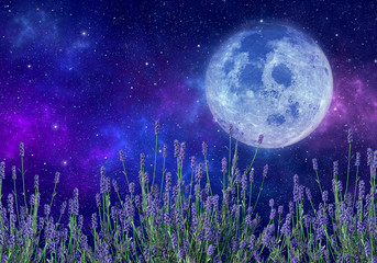 Supermoon or flower moon, lavender flowers, space, nebula and stars. Elements of this image furnished by NASA. 3D rendering.
