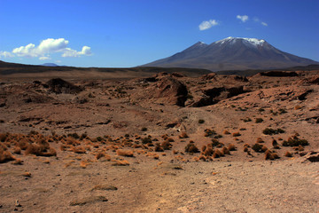 Travelling the world