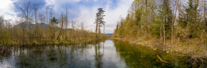panorama of swamp landscape with rural river between trees and bushes