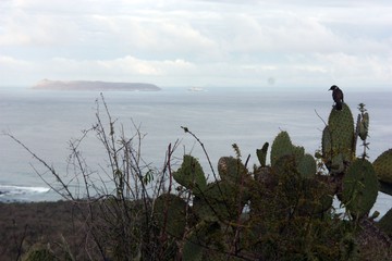 Travelling the world