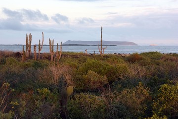 Travelling the world