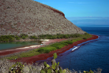 Travelling the world