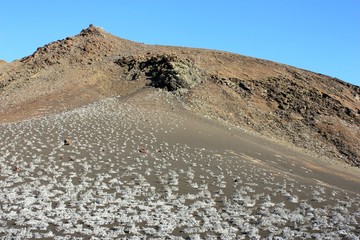 Travelling the world