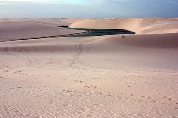 Travelling the world