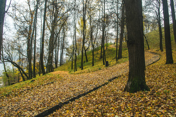 Naklejka premium AUTUMN IN THE PARK