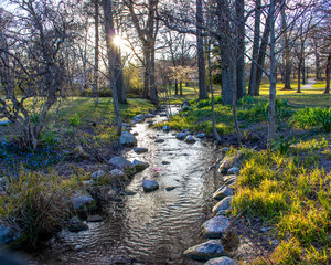 spring in the park