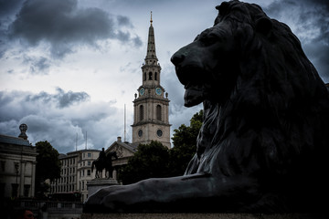 London a lion of the basement of Nelson's monument in Trafalgar square