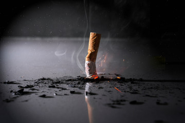 consumed cigarette that is extinguished
