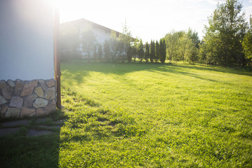 lawn at home. On a Sunny summer day.