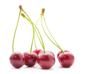 Red ripe cherries.