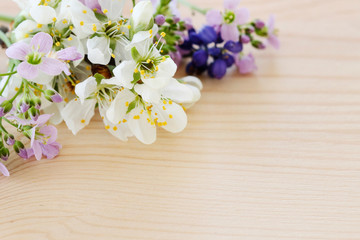 Blooming branch of cherry tree, violets and muscari flowers on a wooden background