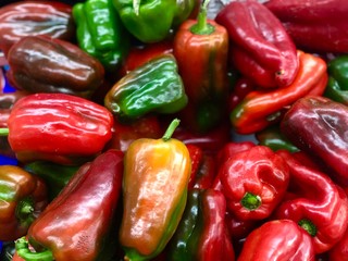red and yellow peppers commonly known as capsicum