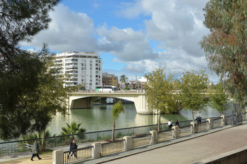 The Center Of Seville.