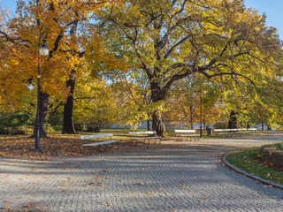 Autumn in Warsaw