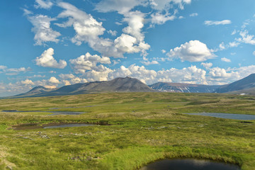 Naklejka premium Tundra in the foothills of the Polar Urals.