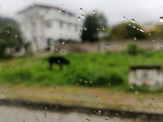 Fondo difuminado de una larga lluvia.