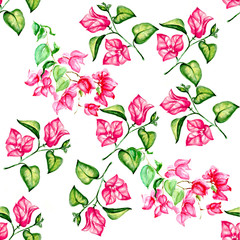 Aquarelle painting of Vintage flower  sketch art illustration