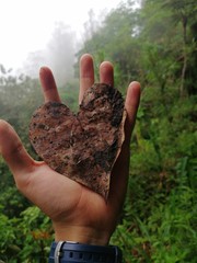 La naturaleza es sabia para crear formas