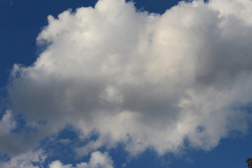 Blue Sky