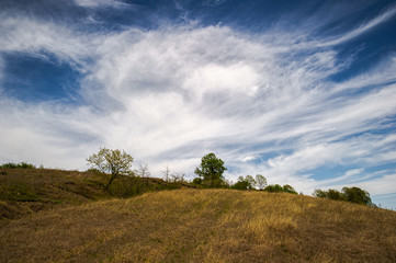 Obraz premium blue skies hill and tree