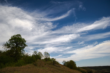 blue skies hill and tree