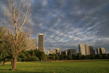 View of the Chicago skyline from the Formal Gardens park area in Grant Park, downtown Chicago, in the Loop.