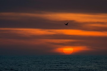 sunset over the sea