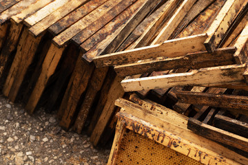 Wooden honeycomb frames without honey lie in large numbers on the ground. Propolis on the framework. Bee diseases
