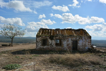 un casa un árbol