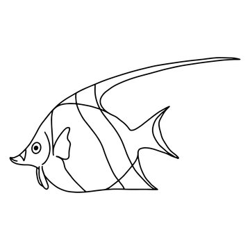 The fish of the sea or river.Coloring pages for adults or children.Black and white image.Doodle coloring book.Vector illustration.
