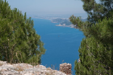 Sea view from a high hill. Coniferous trees grow on the hill