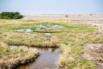 Landascape view of Lake Abbe