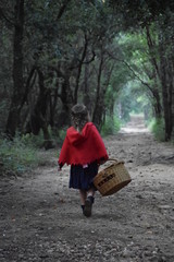 Le petit chaperon rouge