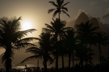 Obraz premium Silhouettes of palm trees on the Ipanema beach during sunset