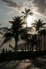 Fototapeta na wymiar Silhouettes of palm tress on Leblon beach in Rio de Janeiro Brazil