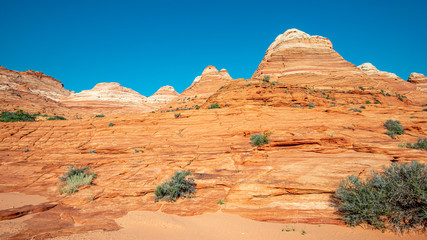 Fototapeta na wymiar Arizona Wave - Famous Geology rock formation in Pariah Canyon