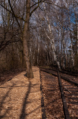 Obraz premium Rückkehr